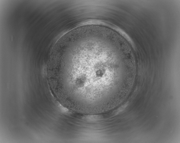 X0000071940953200607071141