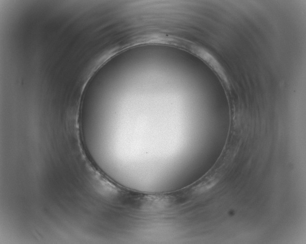 X0000071940954200607071141