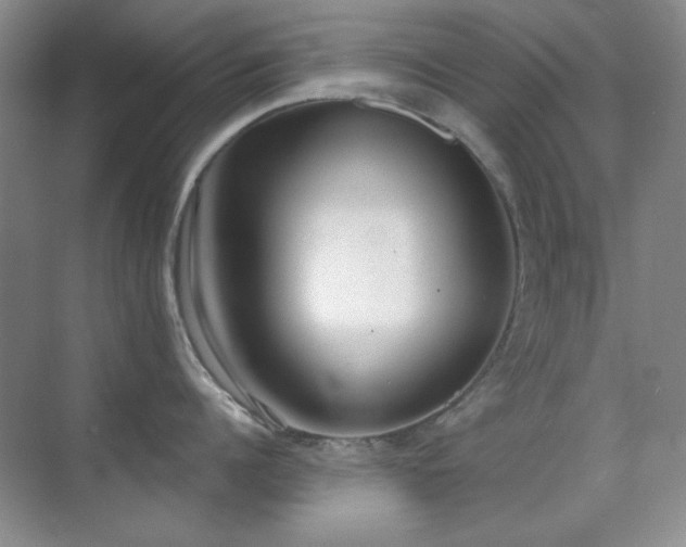 X0000071940960200607071141