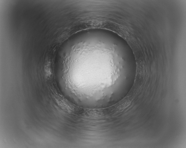 X0000071940962200607071140