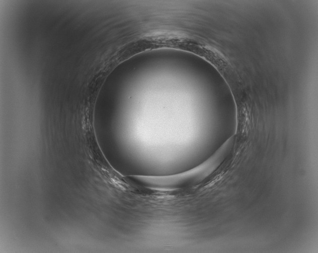 X0000071940965200607071140
