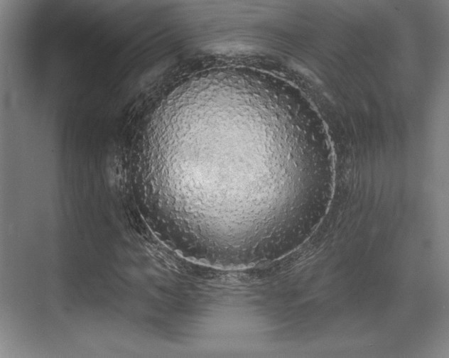 X0000071940966200607071140