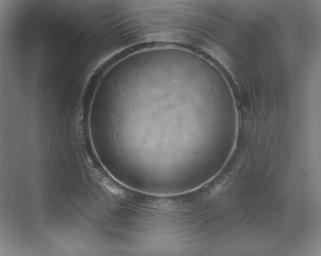 X0000071940971200607071140