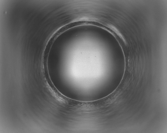 X0000071940972200607071140