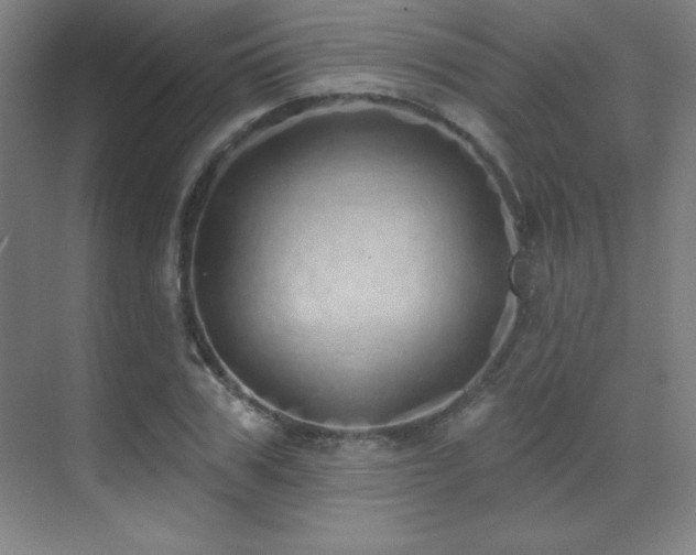 X0000071940979200607071140