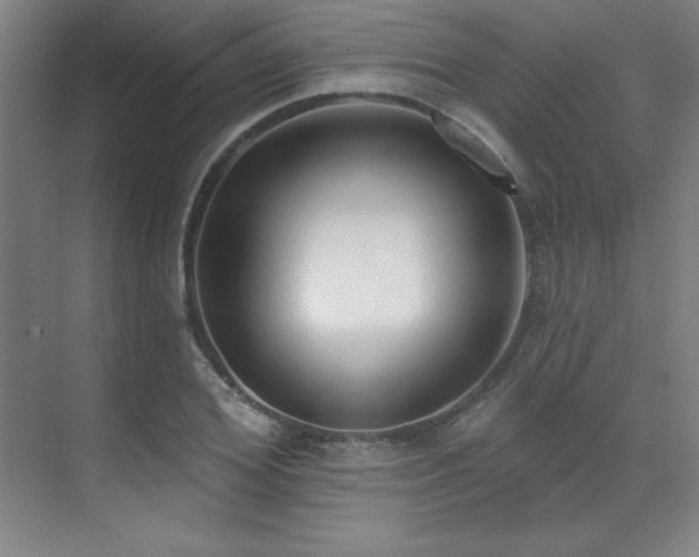 X0000071940980200607071140