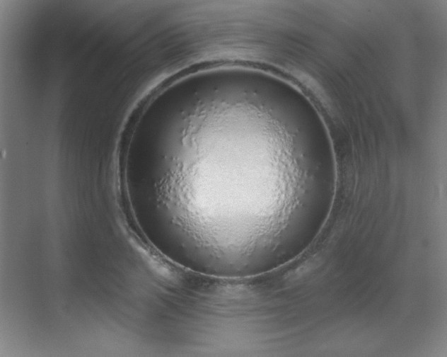 X0000071940982200607071139