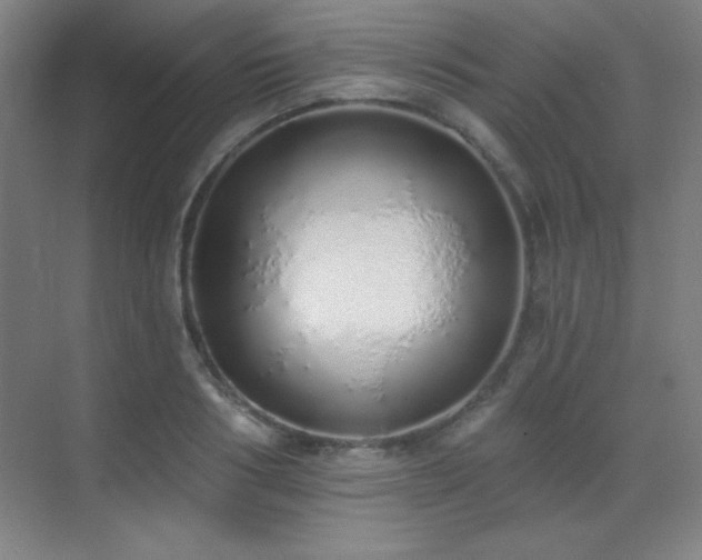 X0000071940986200607071139