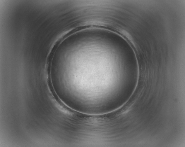 X0000071940987200607071139