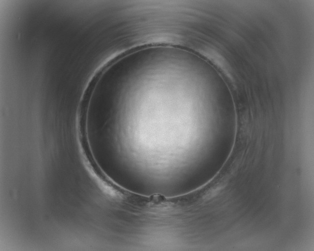 X0000071940991200607071139
