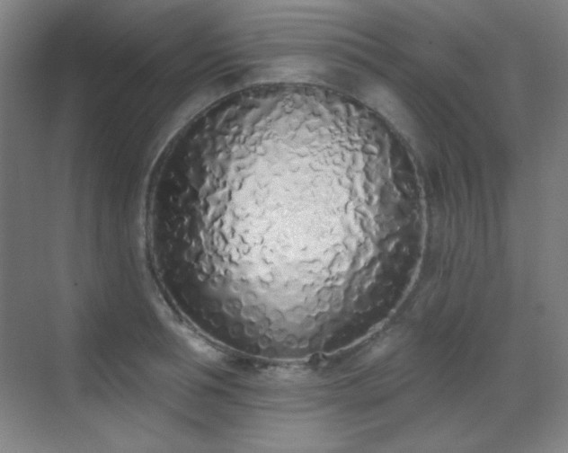 X0000071940994200607071139