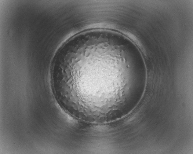 X0000071940998200607071139