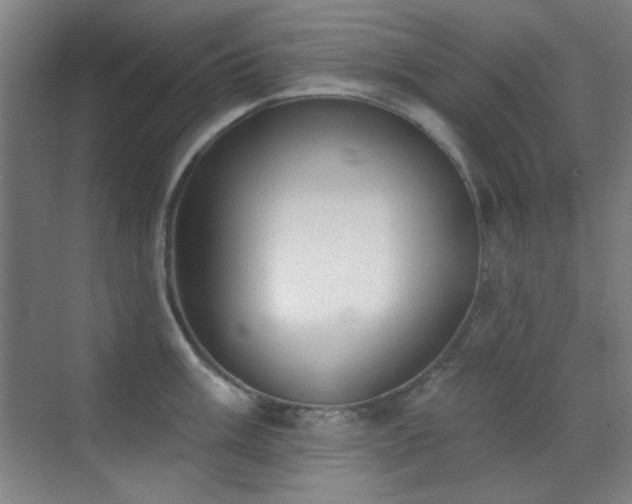 X0000071941003200607071139