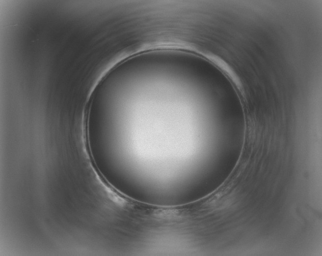 X0000071941006200607071139