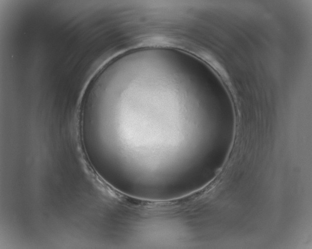 X0000071941008200607071139