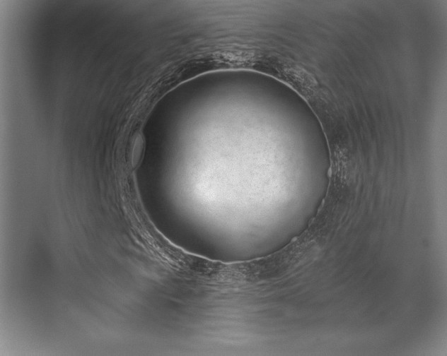 X0000071941009200607071138
