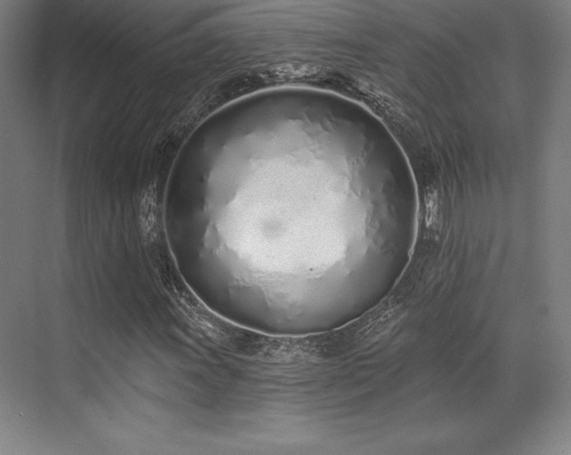 X0000071941011200607071138
