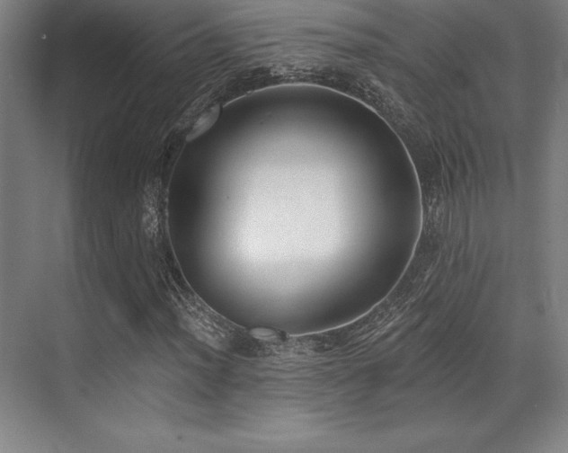 X0000071941012200607071138