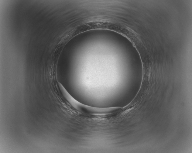 X0000071941014200607071138