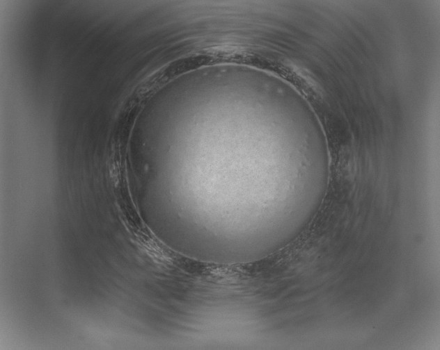 X0000071941015200607071138