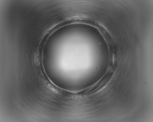 X0000071941018200607071138