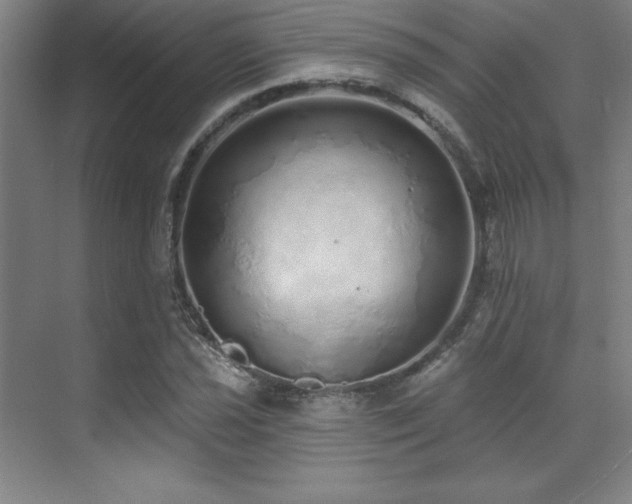 X0000071941021200607071138