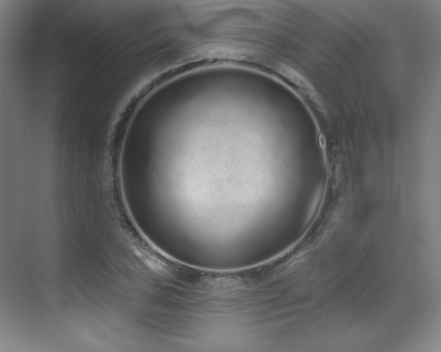 X0000071941027200607071139