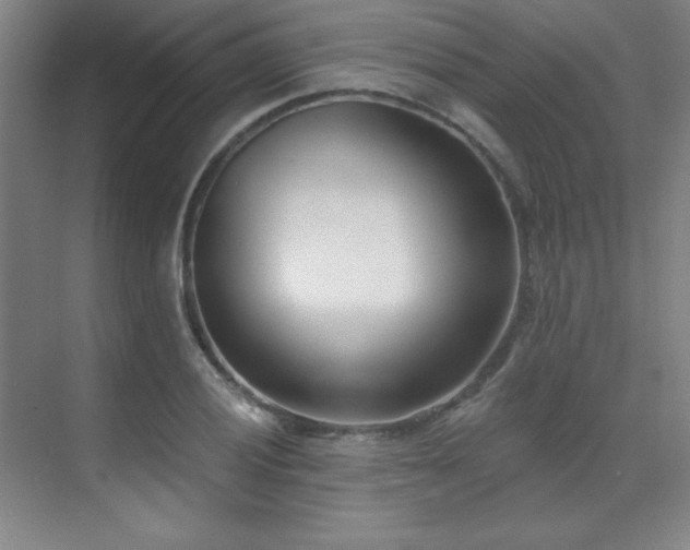 X0000071941028200607071139