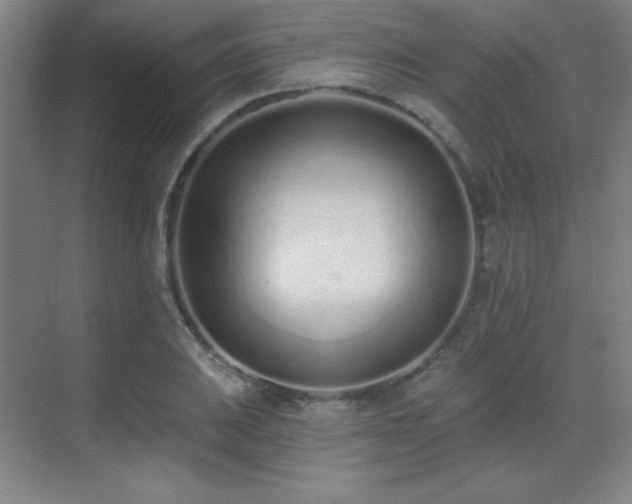 X0000071941031200607071139