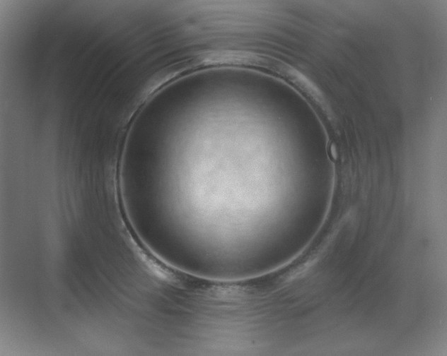 X0000071941041200607071139