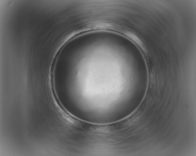 X0000071941047200607071139