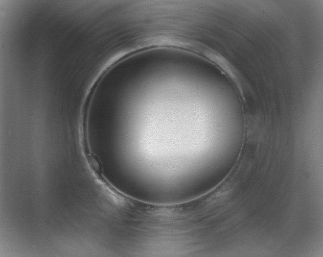 X0000071941048200607071139