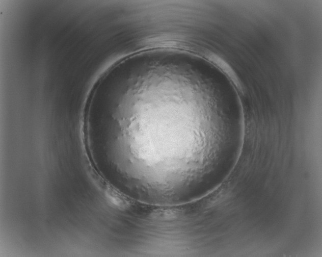 X0000071941051200607071139