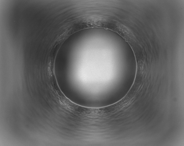 X0000071941060200607071138