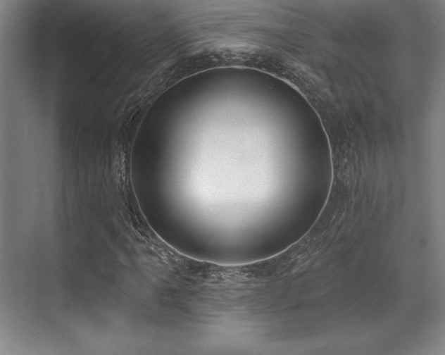 X0000071941061200607071138