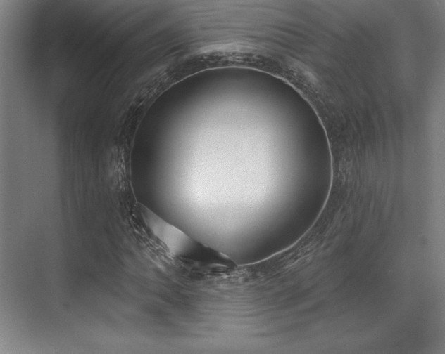 X0000071941062200607071138