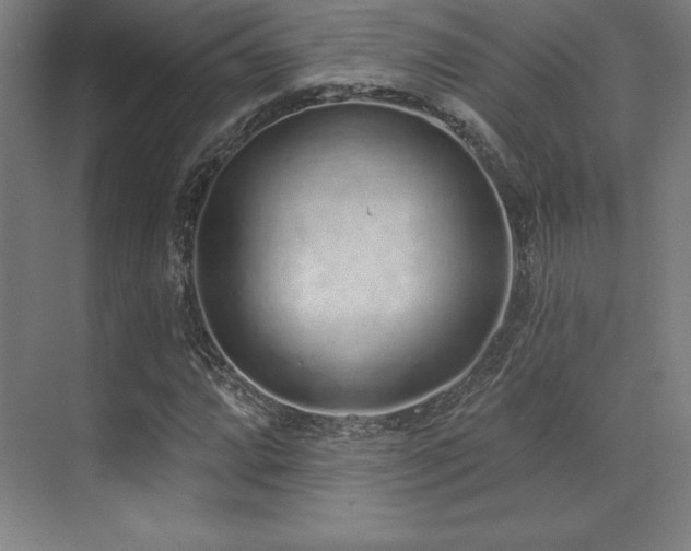 X0000071941064200607071138
