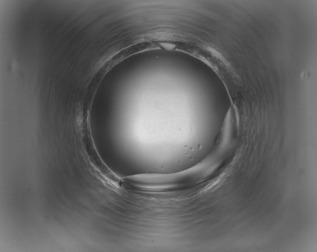 X0000071941065200607071138