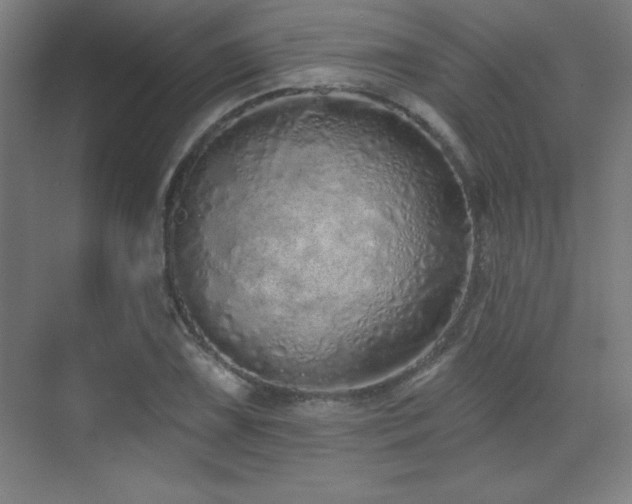 X0000071941075200607071138