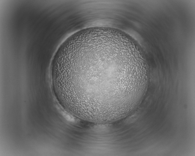 X0000071941078200607071138