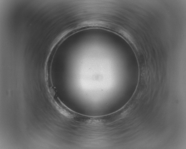 X0000071941082200607071138