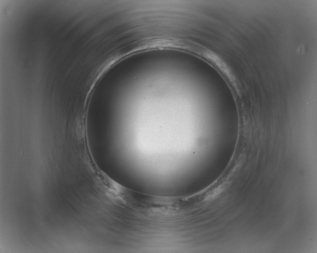 X0000071941097200607071138