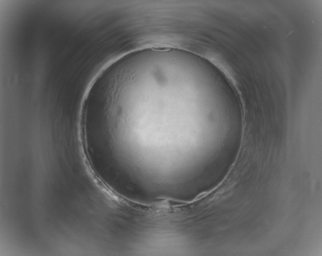 X0000071941104200607071137