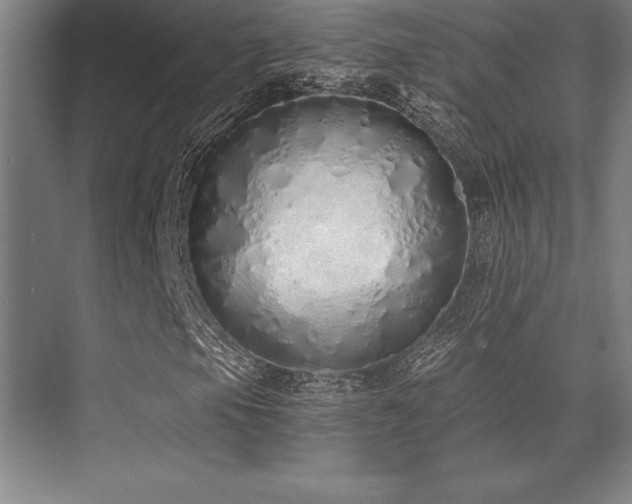 X0000071941105200607071137