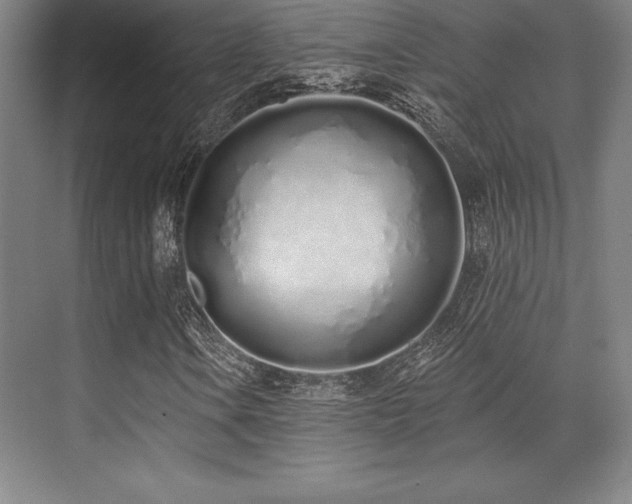 X0000071941106200607071137