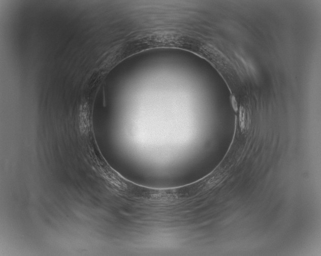 X0000071941107200607071137