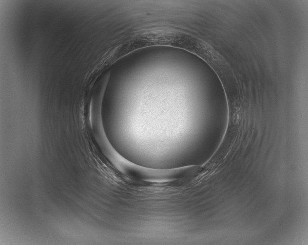X0000071941108200607071137