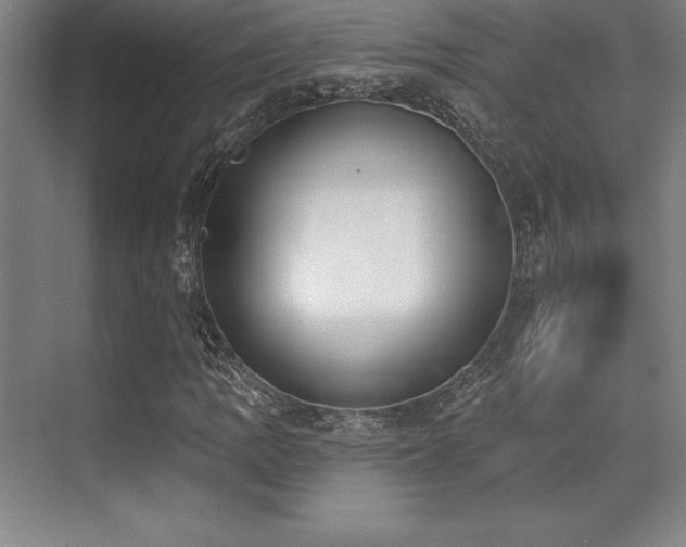 X0000071941109200607071137