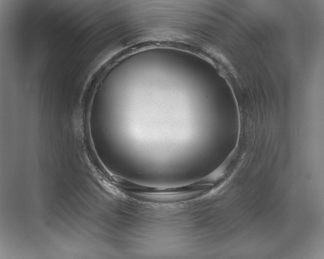 X0000071941114200607071137