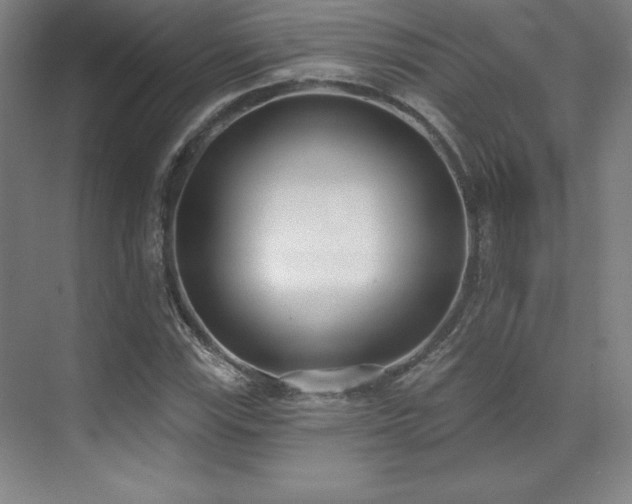 X0000071941115200607071137